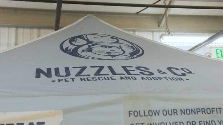 case study: how nuzzles & co. uses custom branded tents to boost engagement and visibility