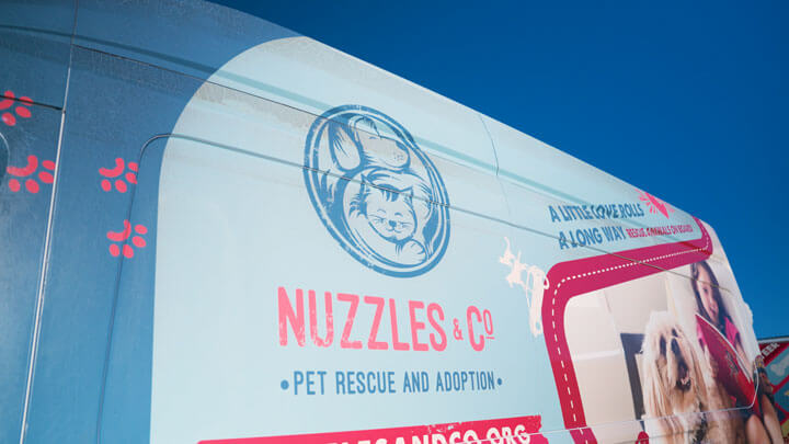 case study: how nuzzles & co. uses custom branded tents to boost engagement and visibility