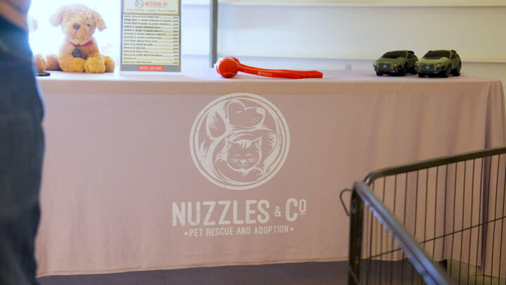 case study: how nuzzles & co. uses custom branded tents to boost engagement and visibility